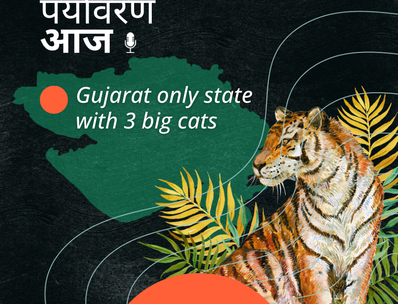 Gujarat is now a tiger state