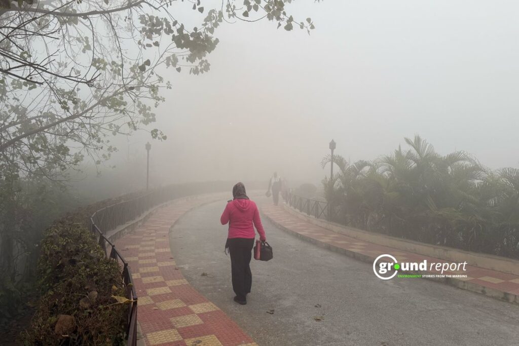 Bone-Chilling Cold weather Grips Madhya Pradesh as Fog Blankets 22 Districts