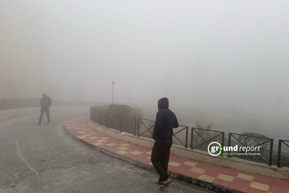 Dense Fog Blankets Madhya Pradesh as Winter weather Tightens Its Grip