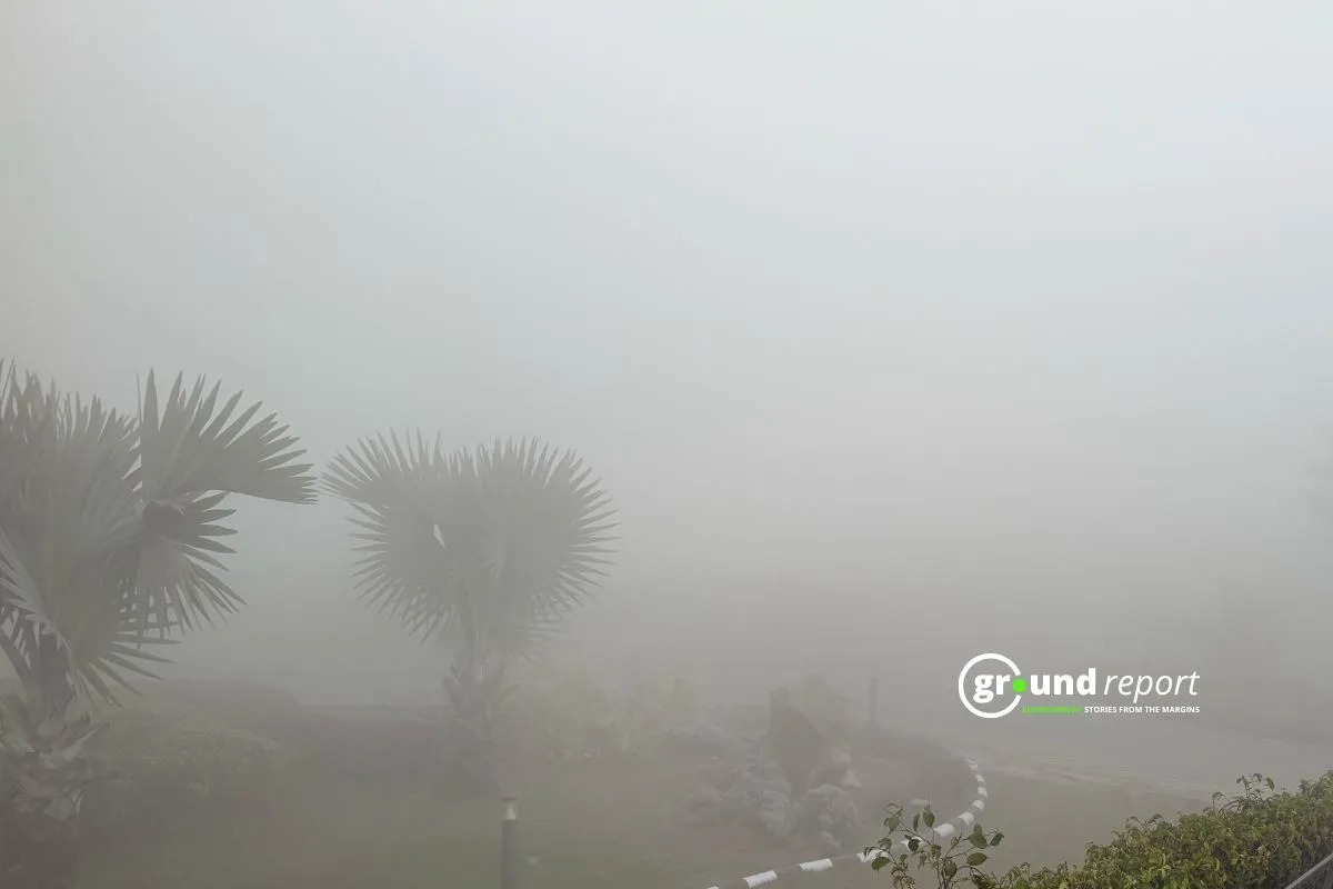 Dense Fog Blankets Madhya Pradesh, Visibility Drops Below 10 Meters