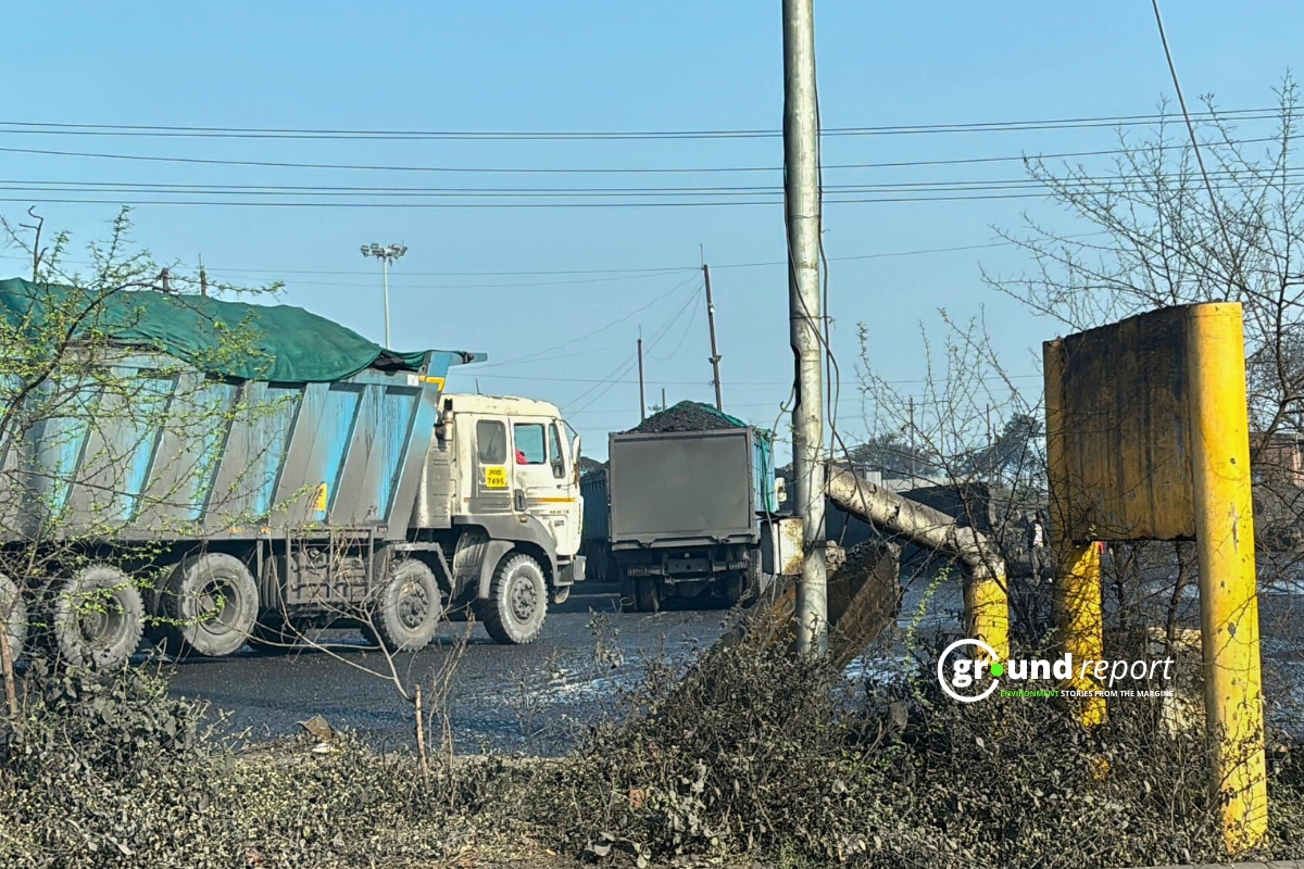 सिंगरौली कोल ब्लॉक पर एनजीटी का नोटिस, पर्यावरण स्वीकृति पर उठे सवाल
