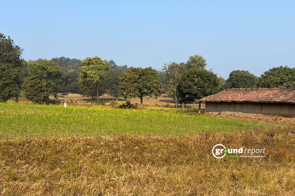 "Rajpal Singh Khairwar's 2-acre farmland and home in Dhirauli village, Singrauli, faces acquisition for coal mining project"