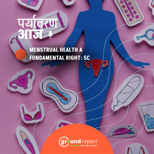 podcast cover 31 jan 2026