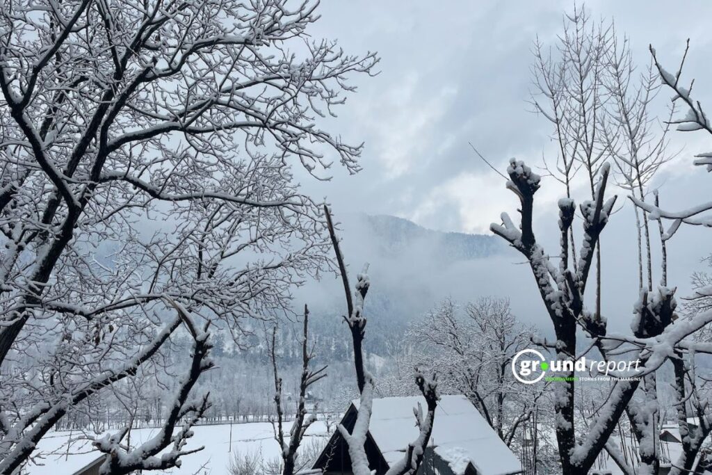 Heavy Snowfall Disrupts Kashmir Valley for Fourth Day