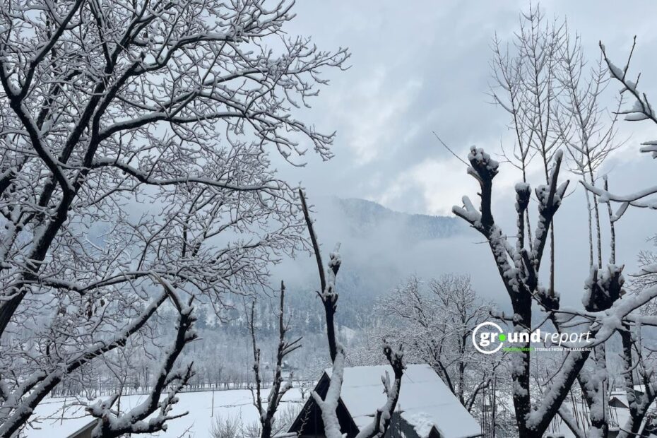 Heavy Snowfall Disrupts Kashmir Valley for Fourth Day