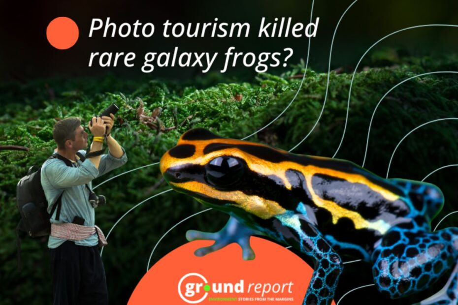 podcast 3 january 2026