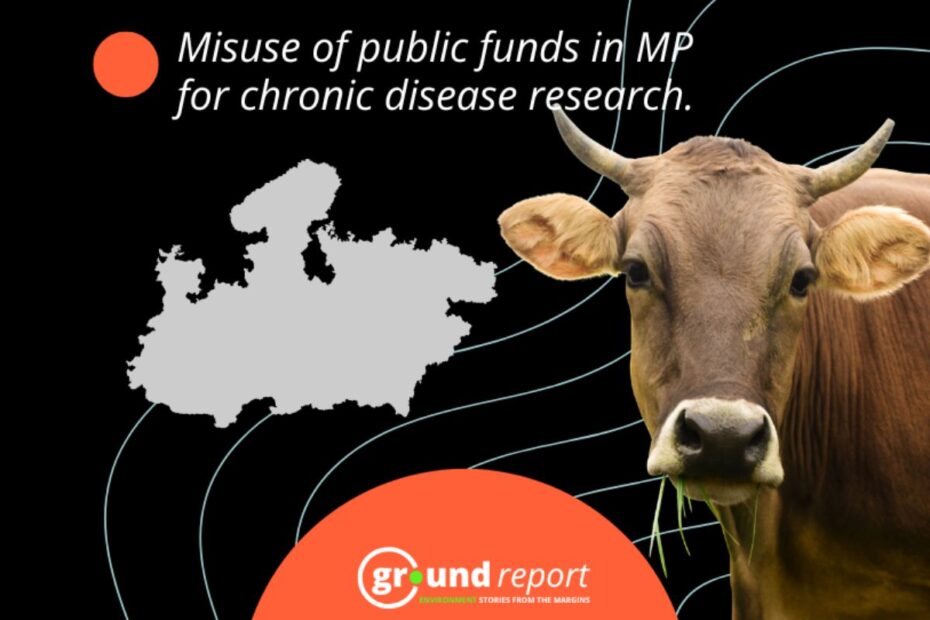 podcast 10 january 2026