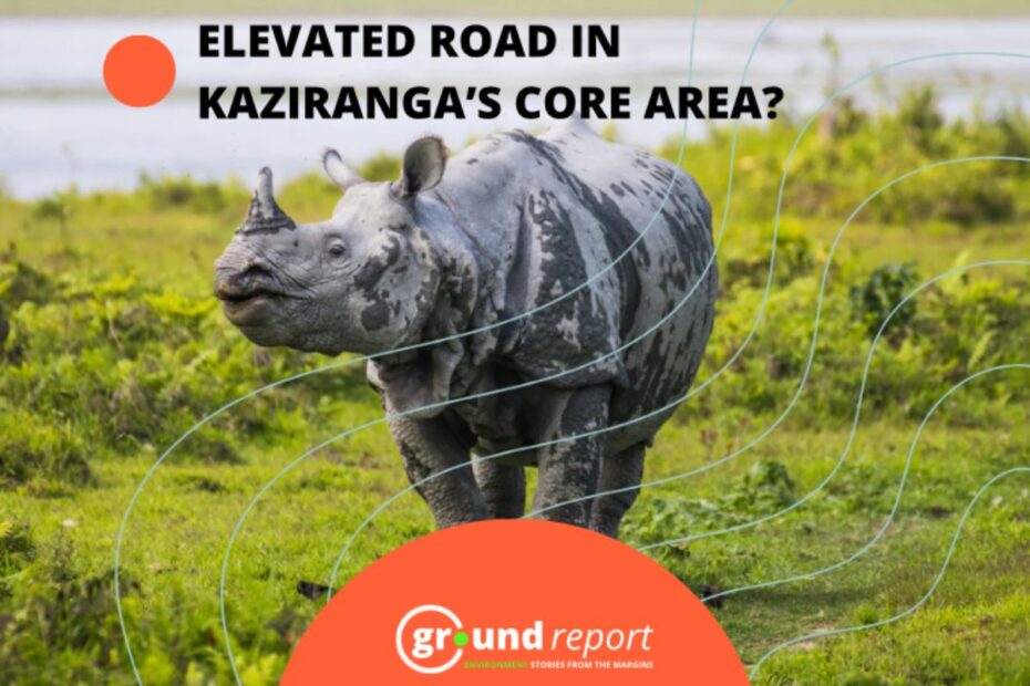Elevated Highway Through Kaziranga: Solution or New Threat to Wildlife?