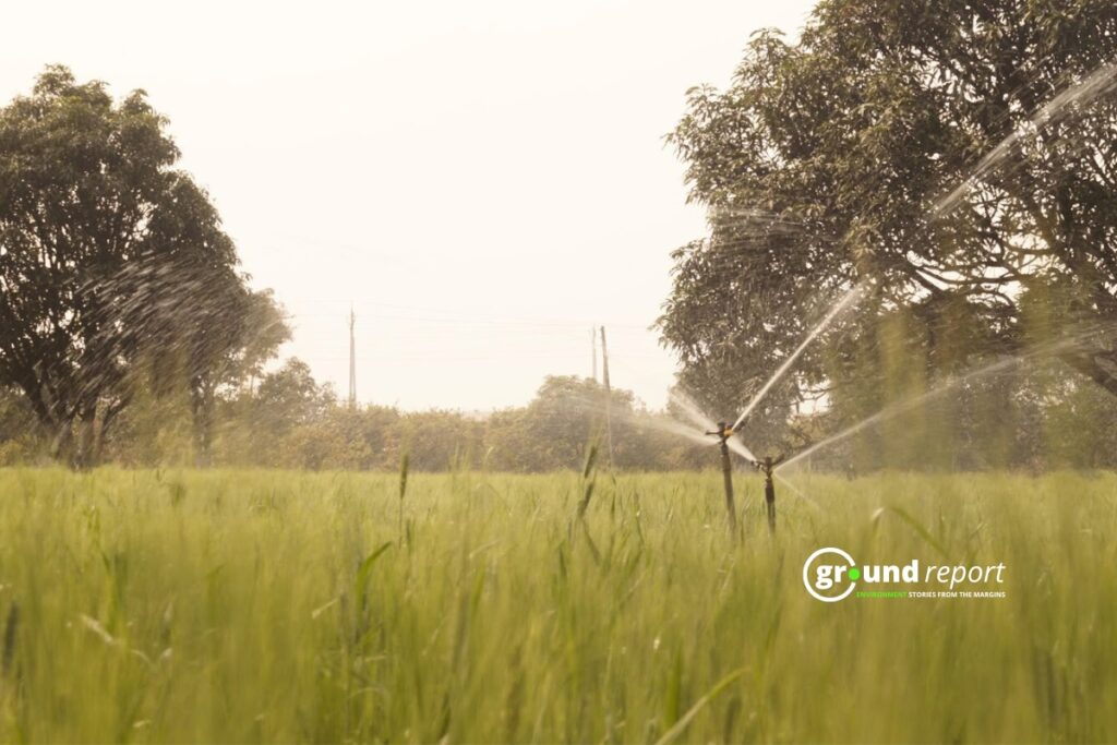 Sprinkler irrigation at an agro-horticulture farm in Sehore, Madhya Pradesh