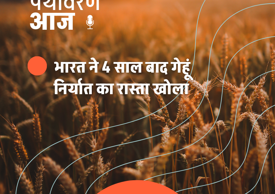 Daily Morning Podcast