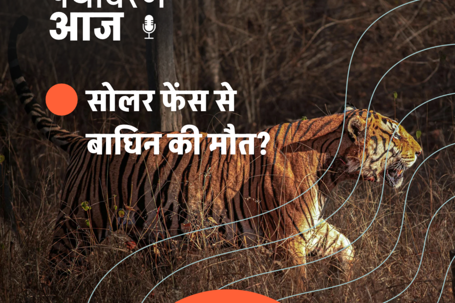 28 febuary podcast cover