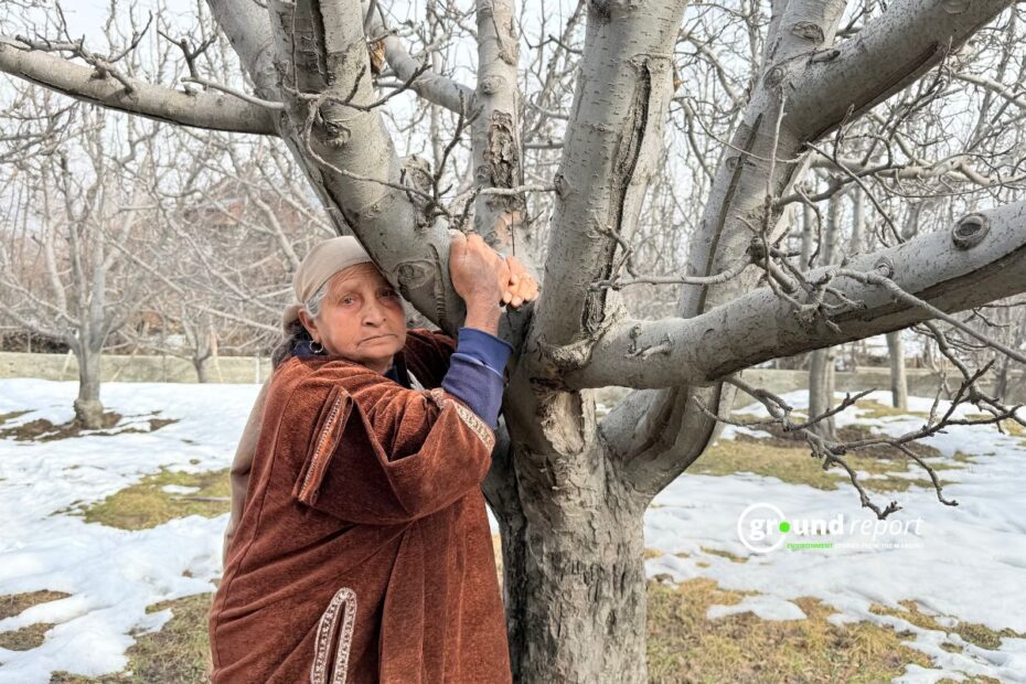 Rail Projects Halted in Kashmir After Apple Farmers Protest, Uncertainty Remains