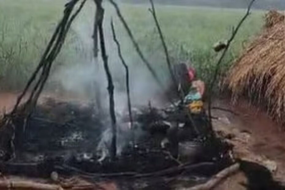 Two Killed in Shivpuri: Why Lightning Is Deadly in Madhya Pradesh