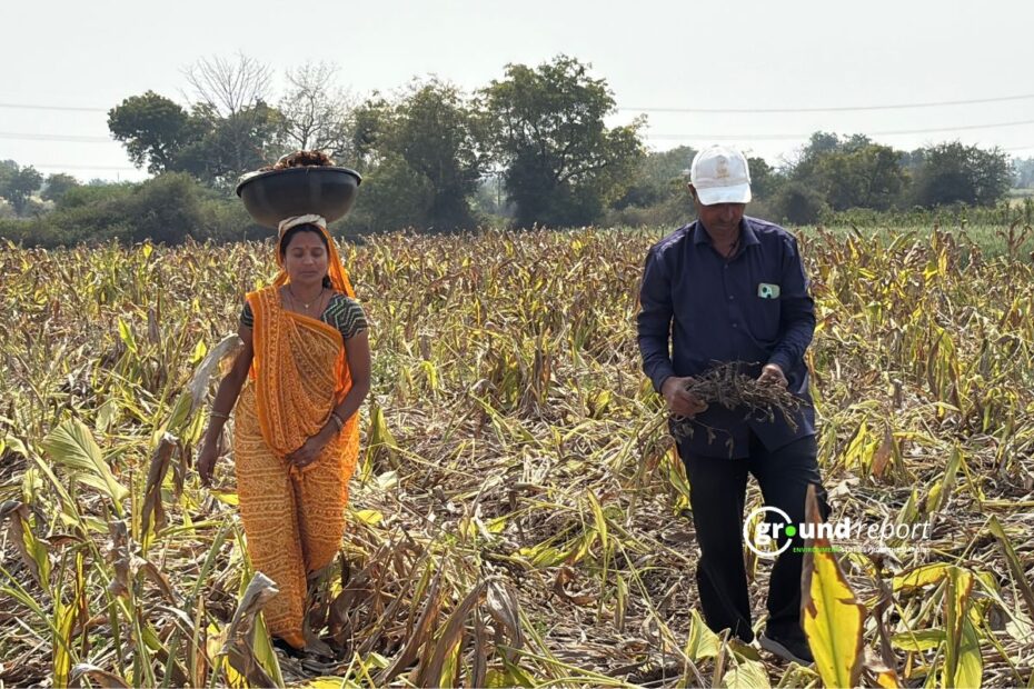 Khargone Haldi Story 12