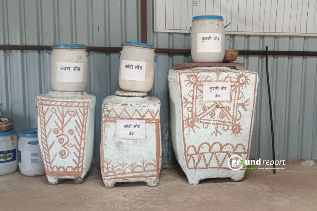 millet seed bank kodo poisoning khandwa