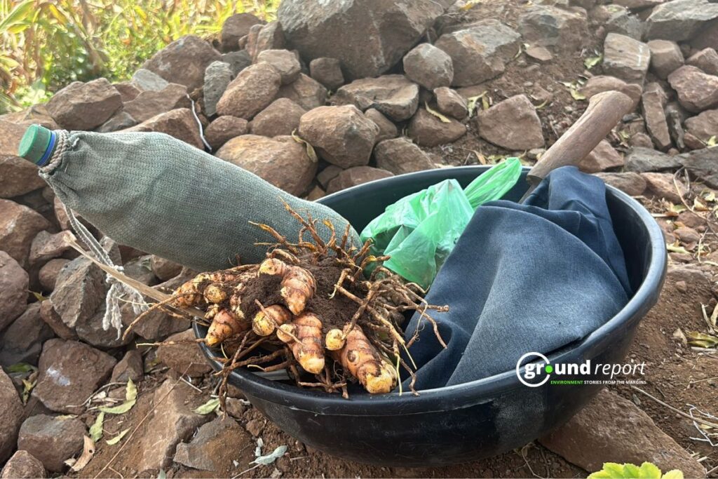 Haldi Story Khargone 8