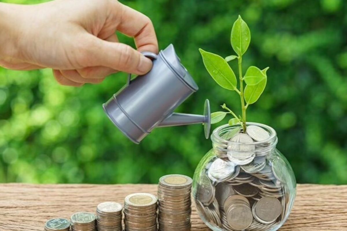 Investor’s Guide to Small Cap Fund Options and Potential Investment Returns