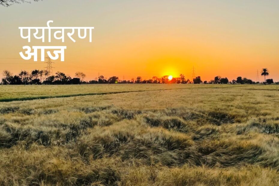 Podcast Cover 21 March 2026