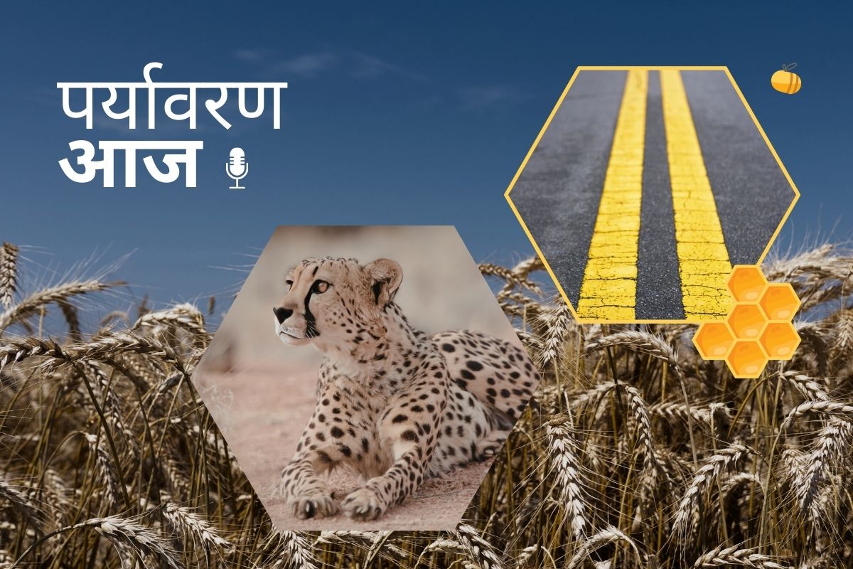 Podcast Cover 14 march