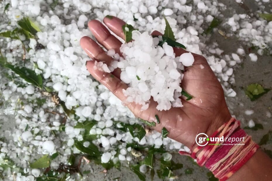 Hailstrom MP crop loss