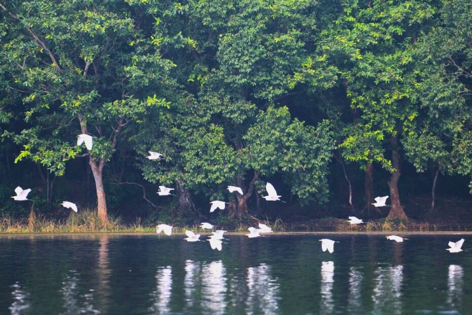Wetlands in Bihar