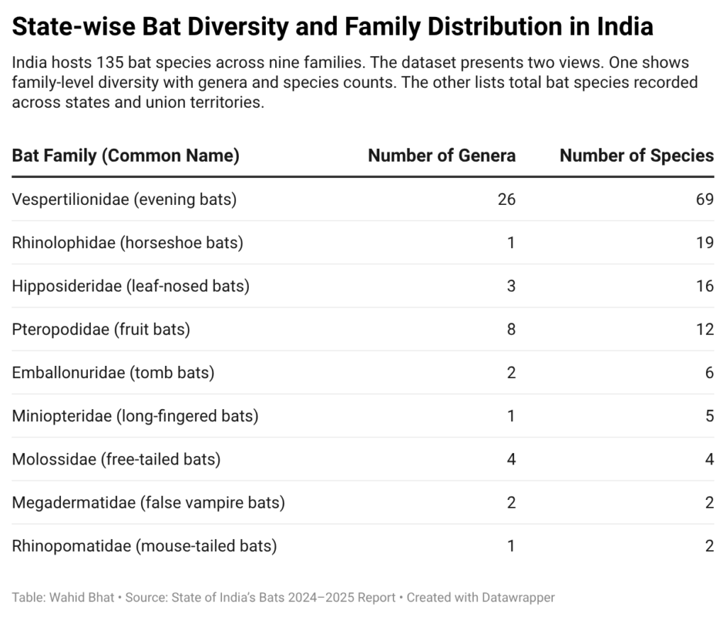 Evening bats dominate India’s bat diversity