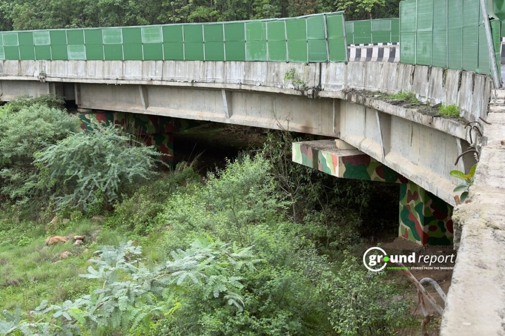 A concrete bridge cuts through dense forest, creating a risky crossing zone for wildlife below.