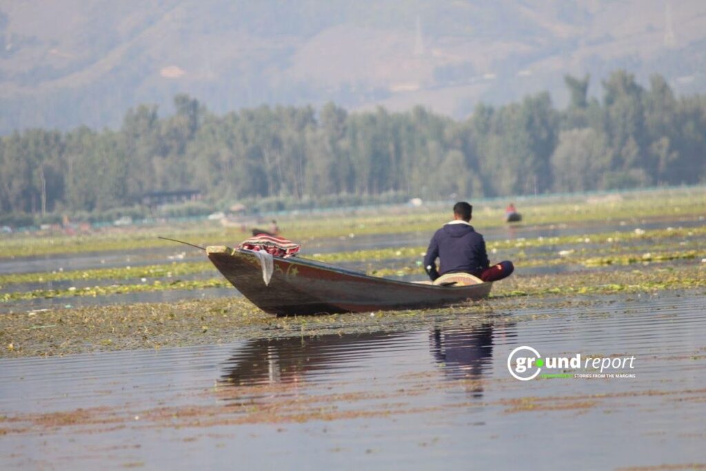 birdwatcher, on Khushal Sar lake