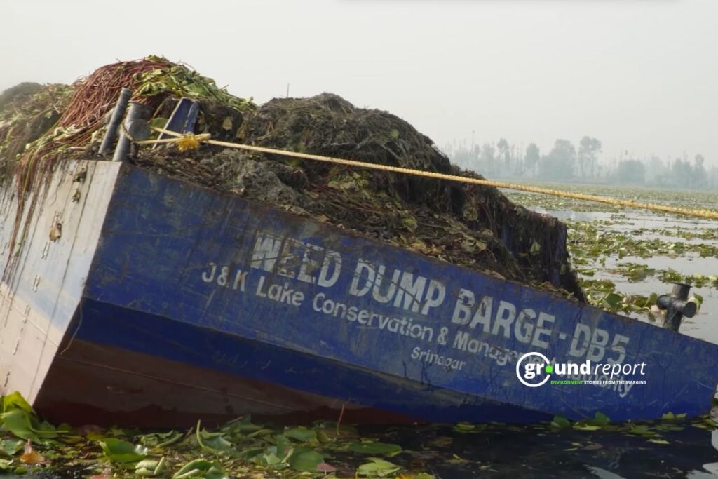 Weed Dump Barge" works to clear debris from Khushal Sar lake
