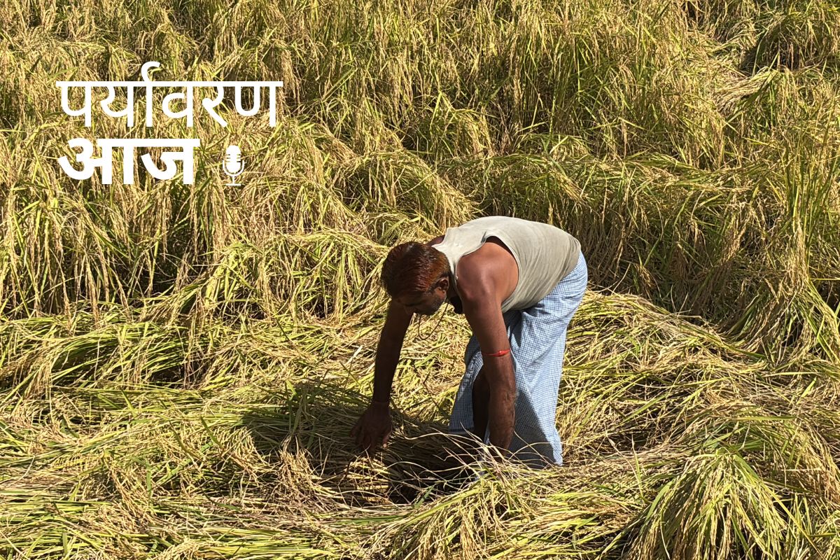 podcast cover 10 april