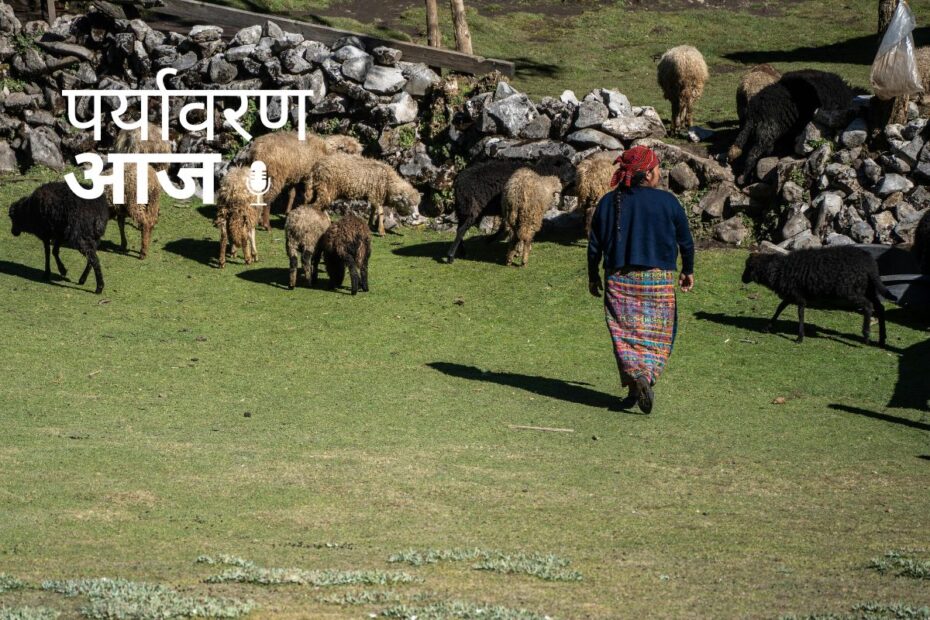 अभयारण्यों पर चरवाहों की निर्भरता पर होगा अध्ययन  