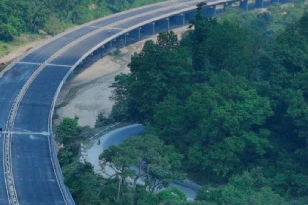 An elevated road cuts across forest land, fragmenting habitat and changing animal movement routes.