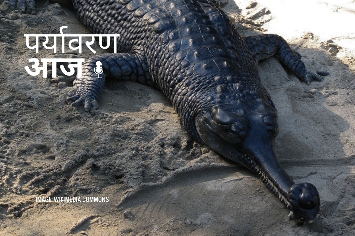 Podcast cover 18 April