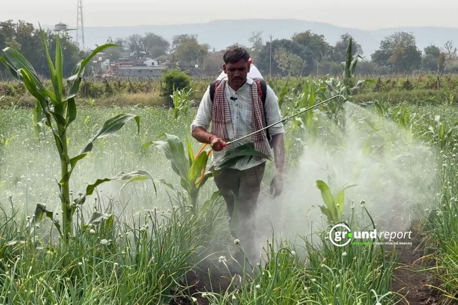 Farmer Pesticide IPM Story Khargone