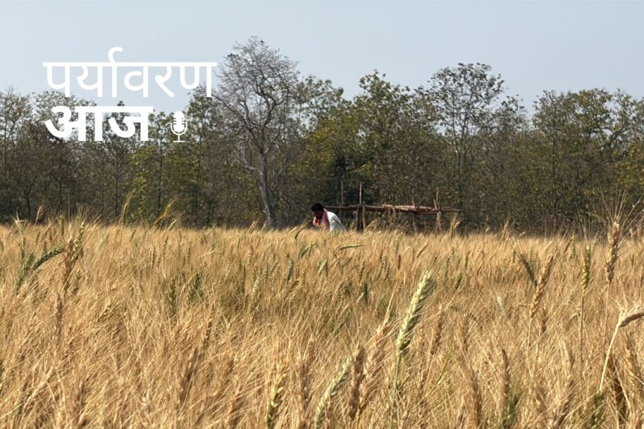 Podcast Cover 25 April