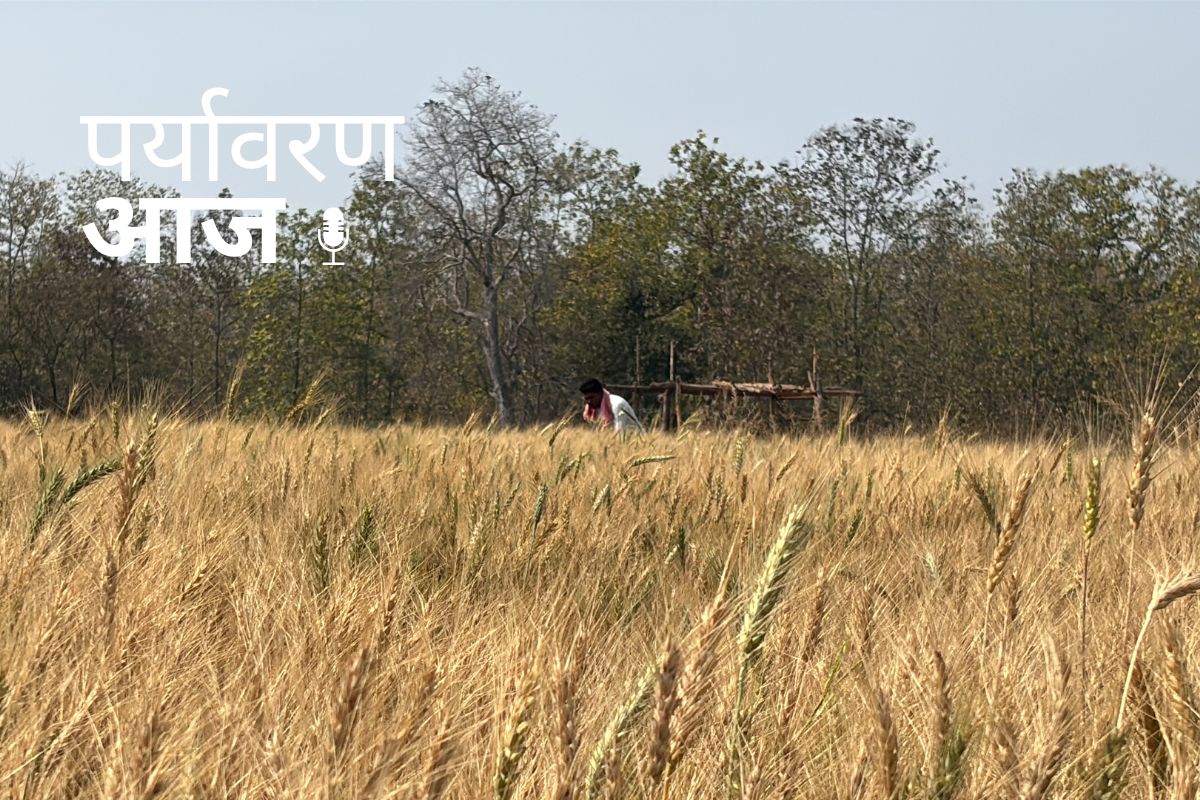 Podcast Cover 25 April