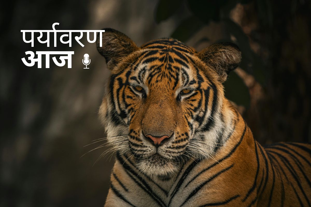 28 April podcast cover