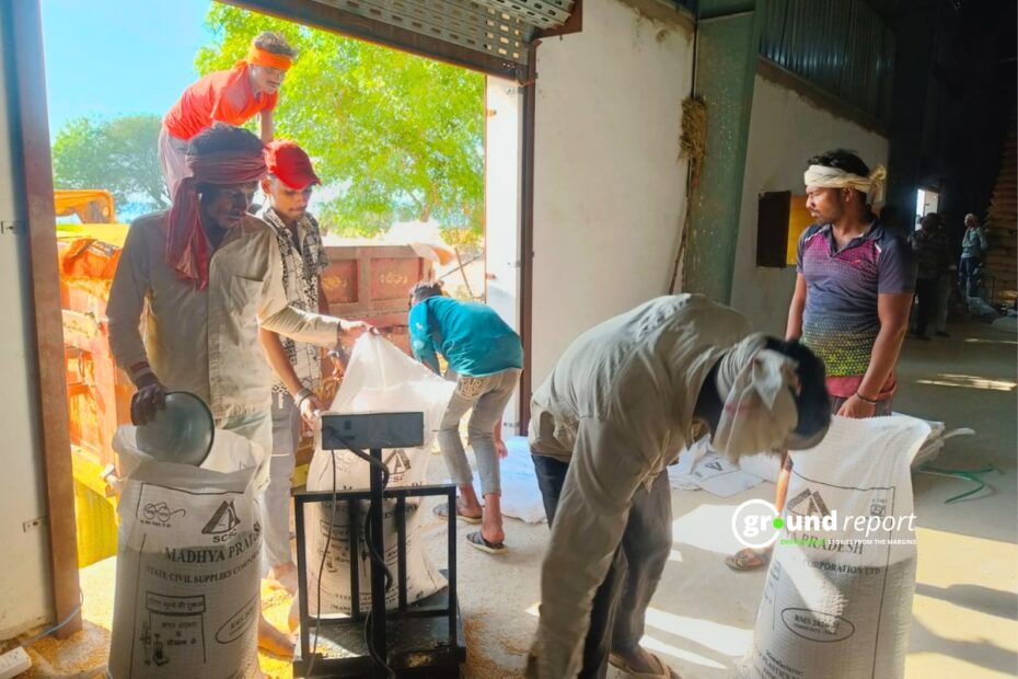 Delayed wheat procurement in Madhya Pradesh due to gunny bag shortage