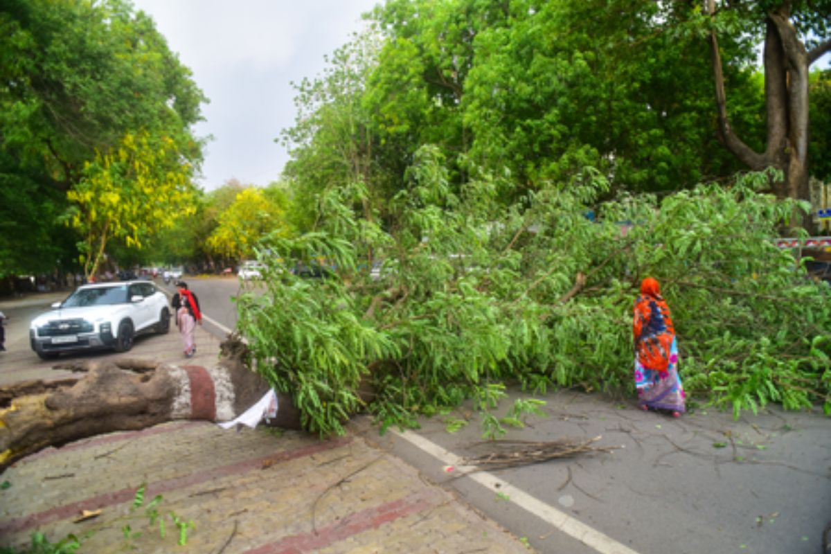 Thunderstorm Kills 89 in Uttar Pradesh, Death Toll Is Still Rising