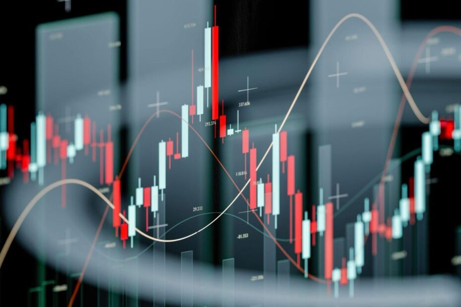 How the BHFL share price helps investors understand growth, valuation, and risk