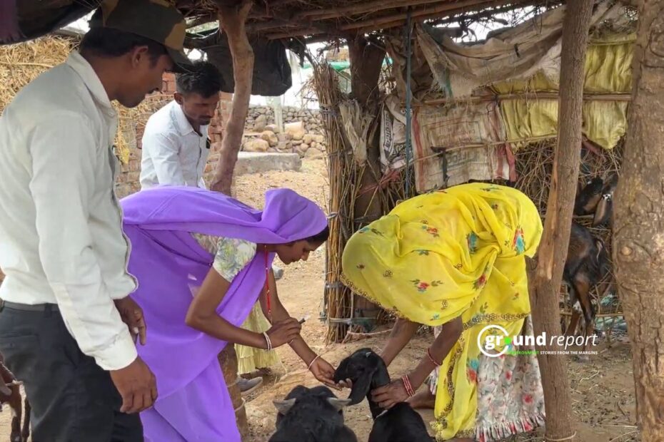 pashu sakhi story Jhabua 7