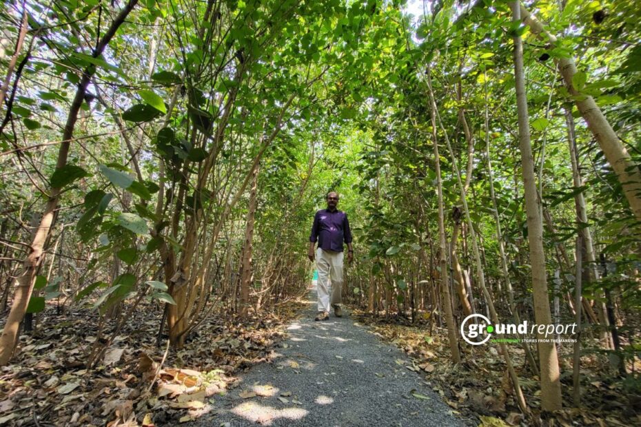 Alex Mundapuzha walks through the Miyawaki forest at SGSITS, Indore. Two years after planting, many trees have reached 15 to 20 feet tall.