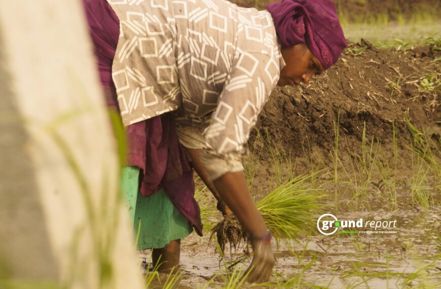 ⁠ ⁠A female agricultural laborer transplanting paddy seedlings in the field, Mugaliya Chhap village, Photo by Rajeev Tyagi