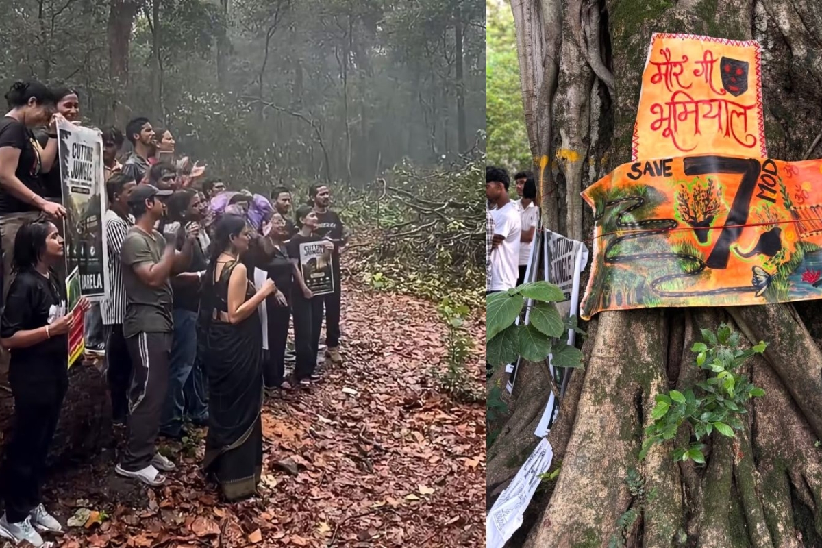 Explainer: Dehradun Halts Highway Tree-Felling After Days of Protest at Saat Mod