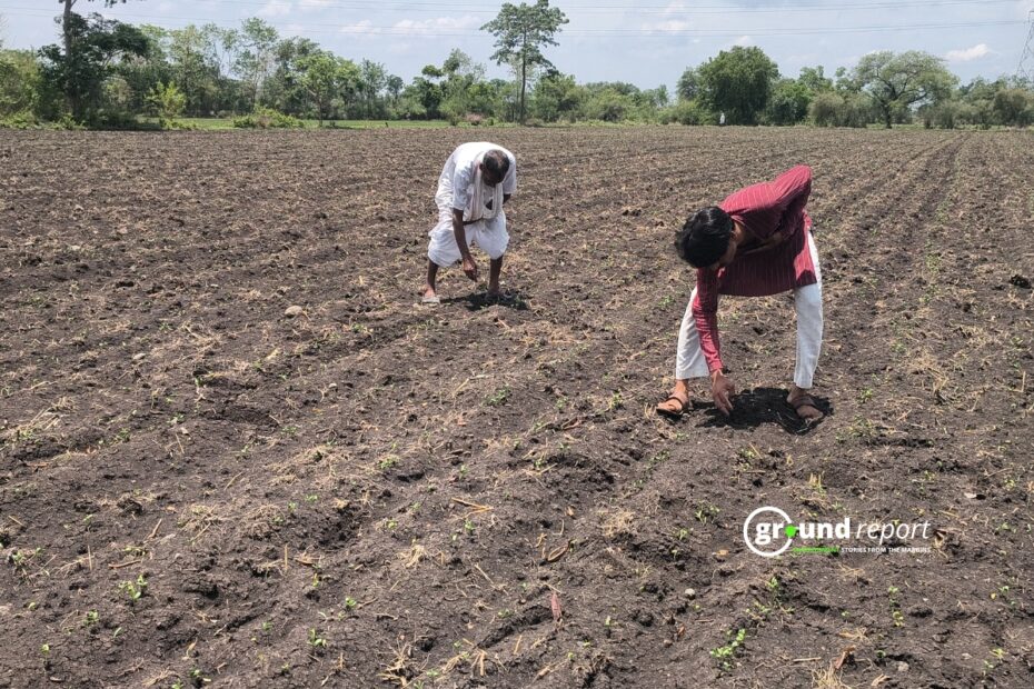 Farmers in MP Facing Drought like conditions
