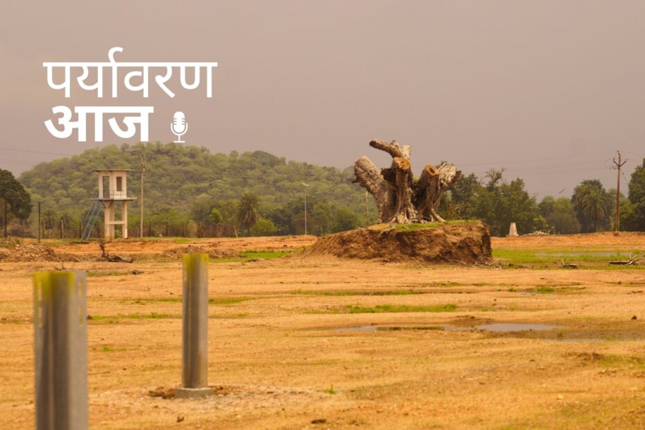 Tree cutting Madhya Pradesh