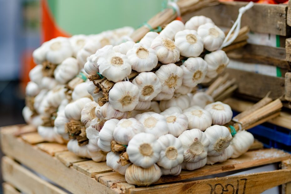 The Global Garlic Industry: From Agricultural Fields to Everyday Food Markets