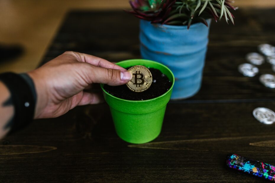 How Digital Asset Taxes Impact Local Sustainability Action