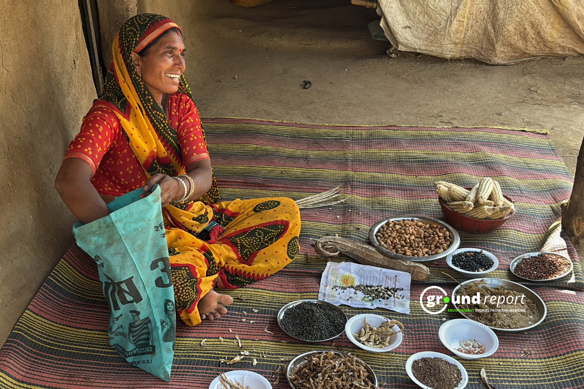 Jhabua seed story women farmer
