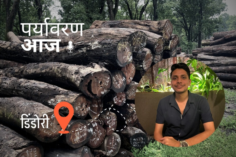 Sal Borer Infestation Dindori Chandra Pratap Tiwari